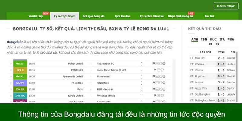 Điều khoản sử dụng trang Bongdalu5.one về bản quyền