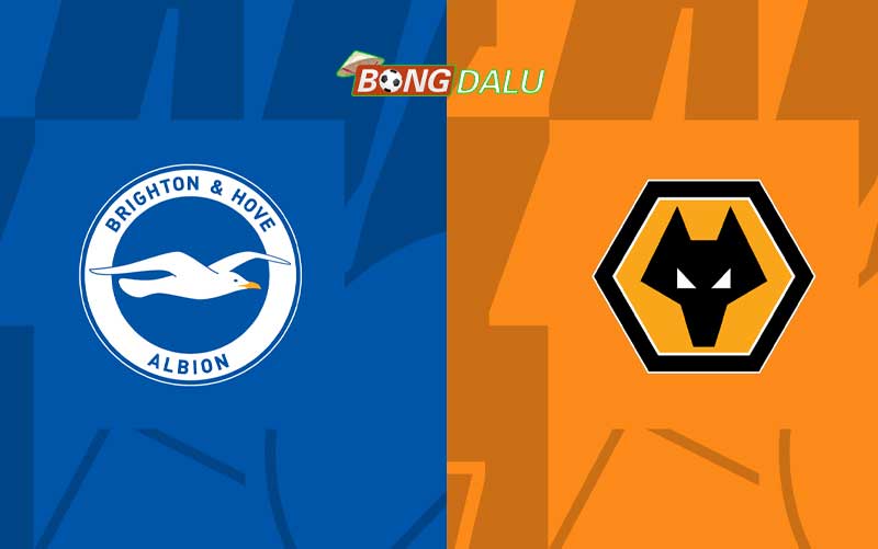 Phân tích trận đấu Brighton vs Wolves