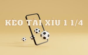 Kèo tài xỉu 1 1/4 là gì?