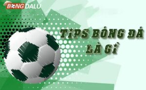 Thông tin tips bóng đá từ các chuyên gia soi kèo uy tín